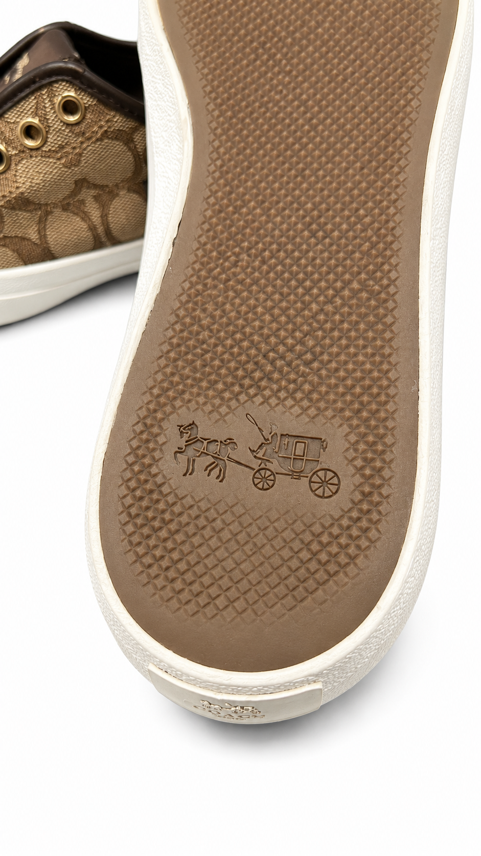 Coach C101/C-series low-top sneaker