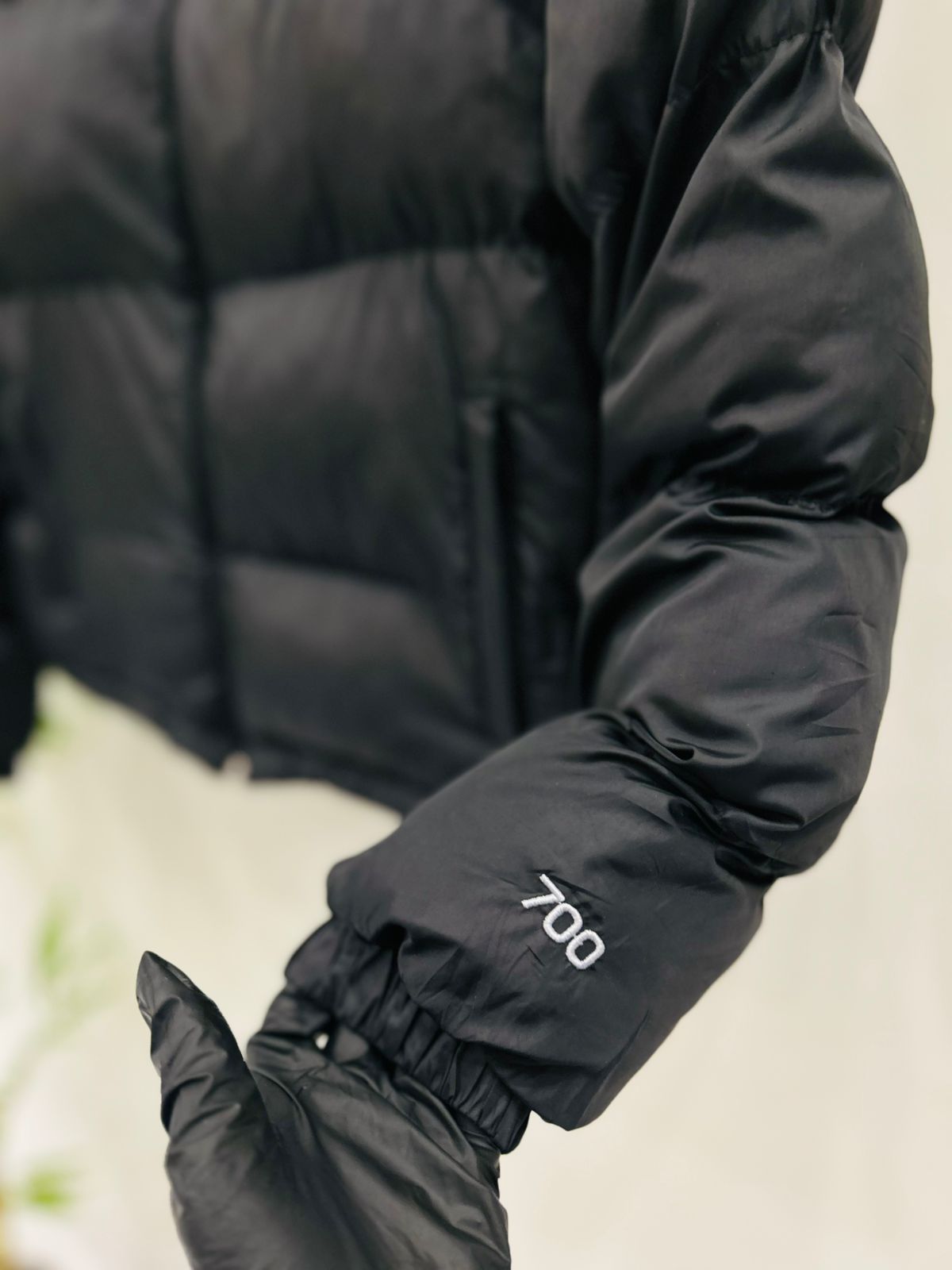 The North Face 1996 Retro Nuptse (NF6)