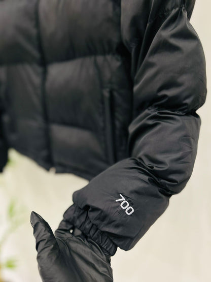 The North Face 1996 Retro Nuptse (NF6)