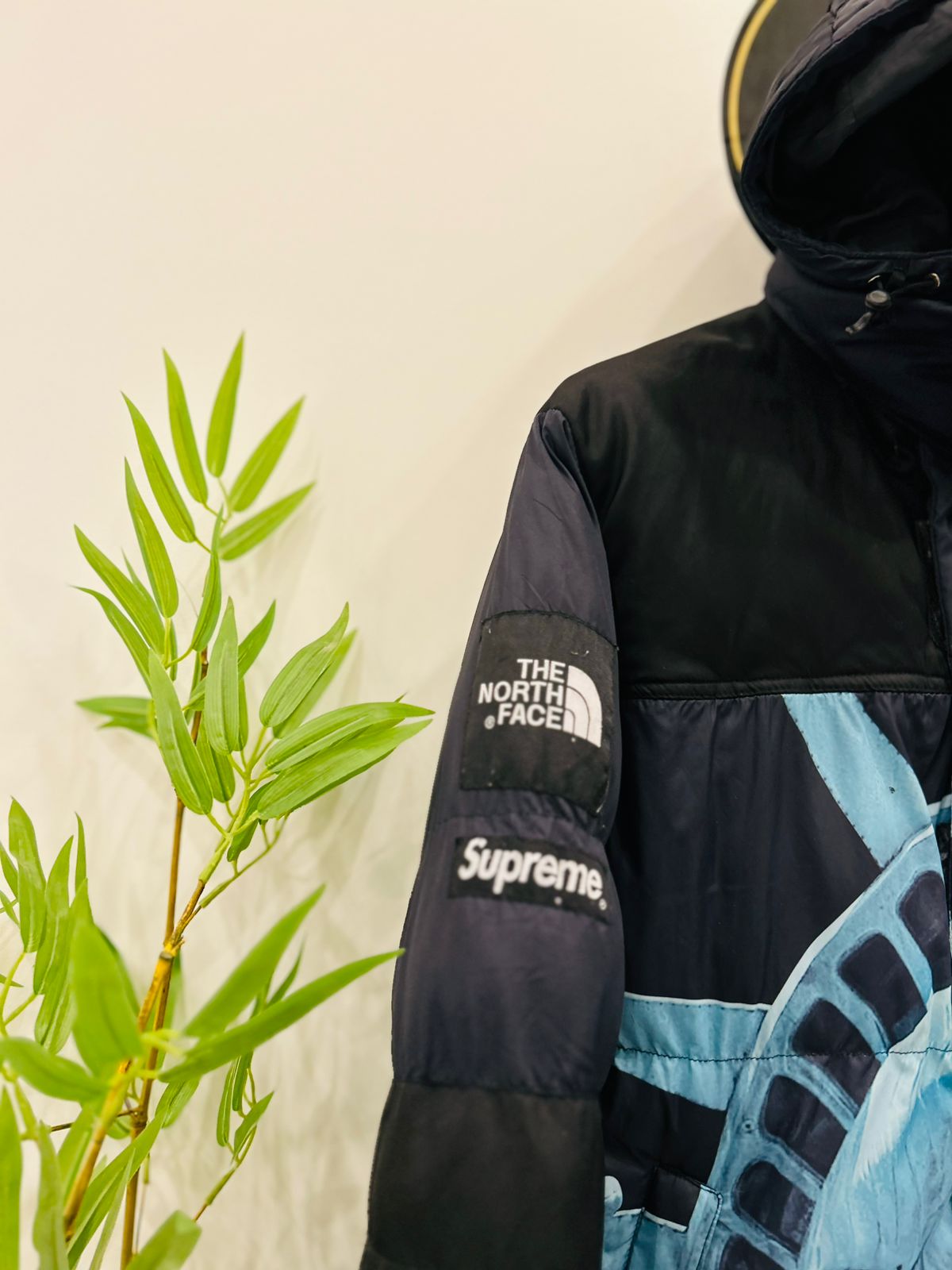 Supreme x The North Face Statue of Liberty Baltoro Jacket