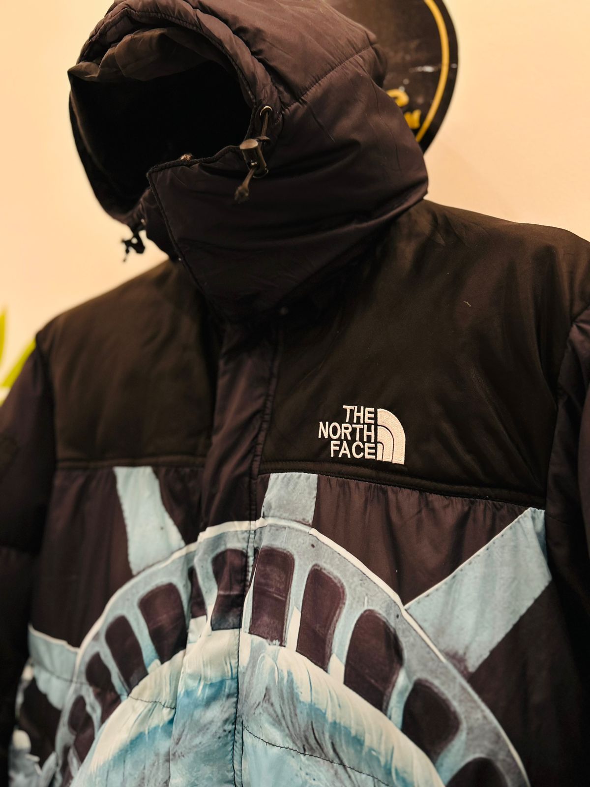 Supreme x The North Face Statue of Liberty Baltoro Jacket