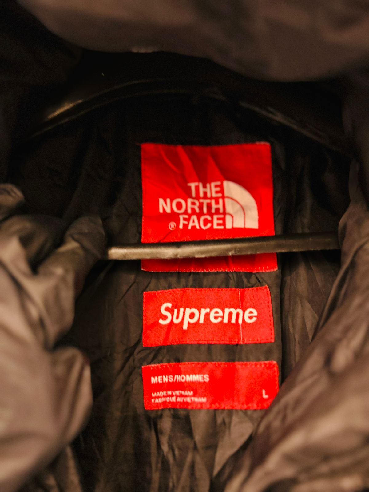 Supreme x The North Face Statue of Liberty Baltoro Jacket