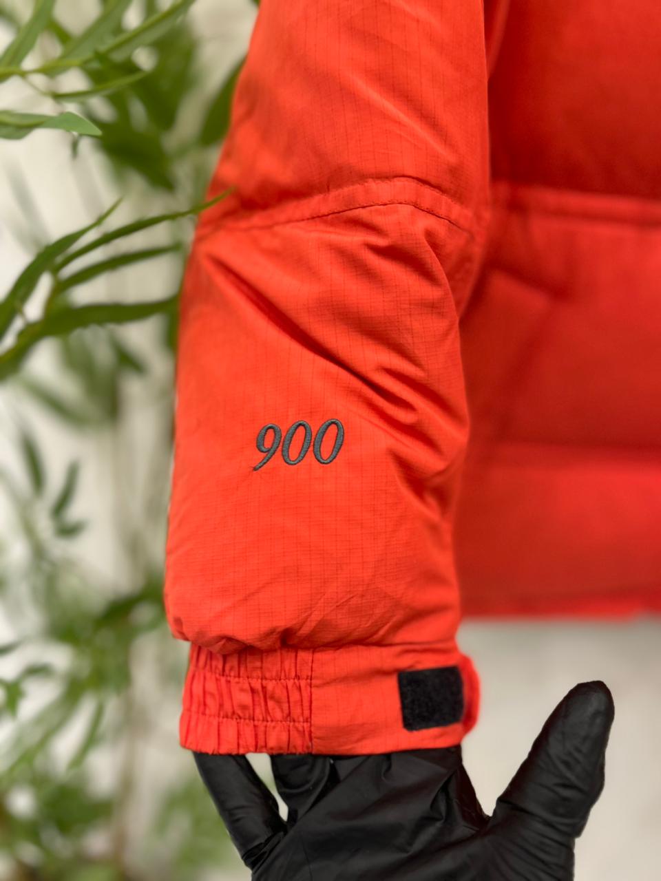 The North Face Summit Series 900
