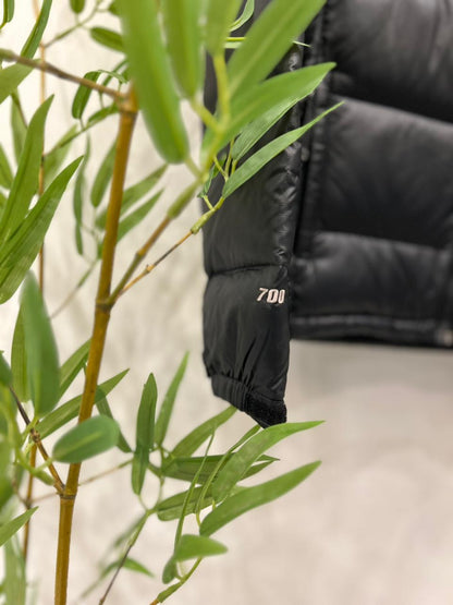 The North face Retro Nuptse Ultra Lightweight Packable Puffer Jacket
