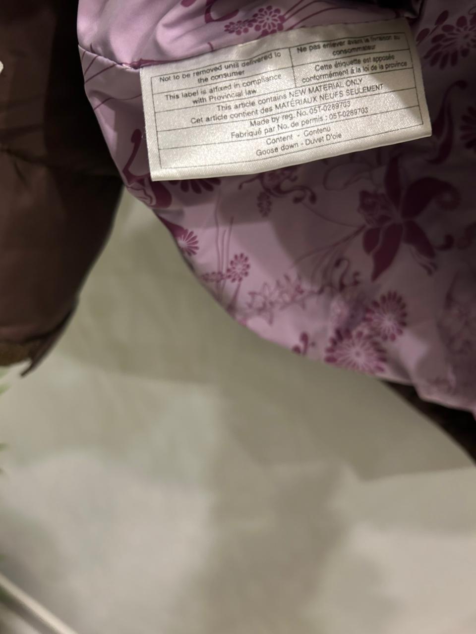 The North Face Women's Retro Nuptse Hooded Puffer Jacket