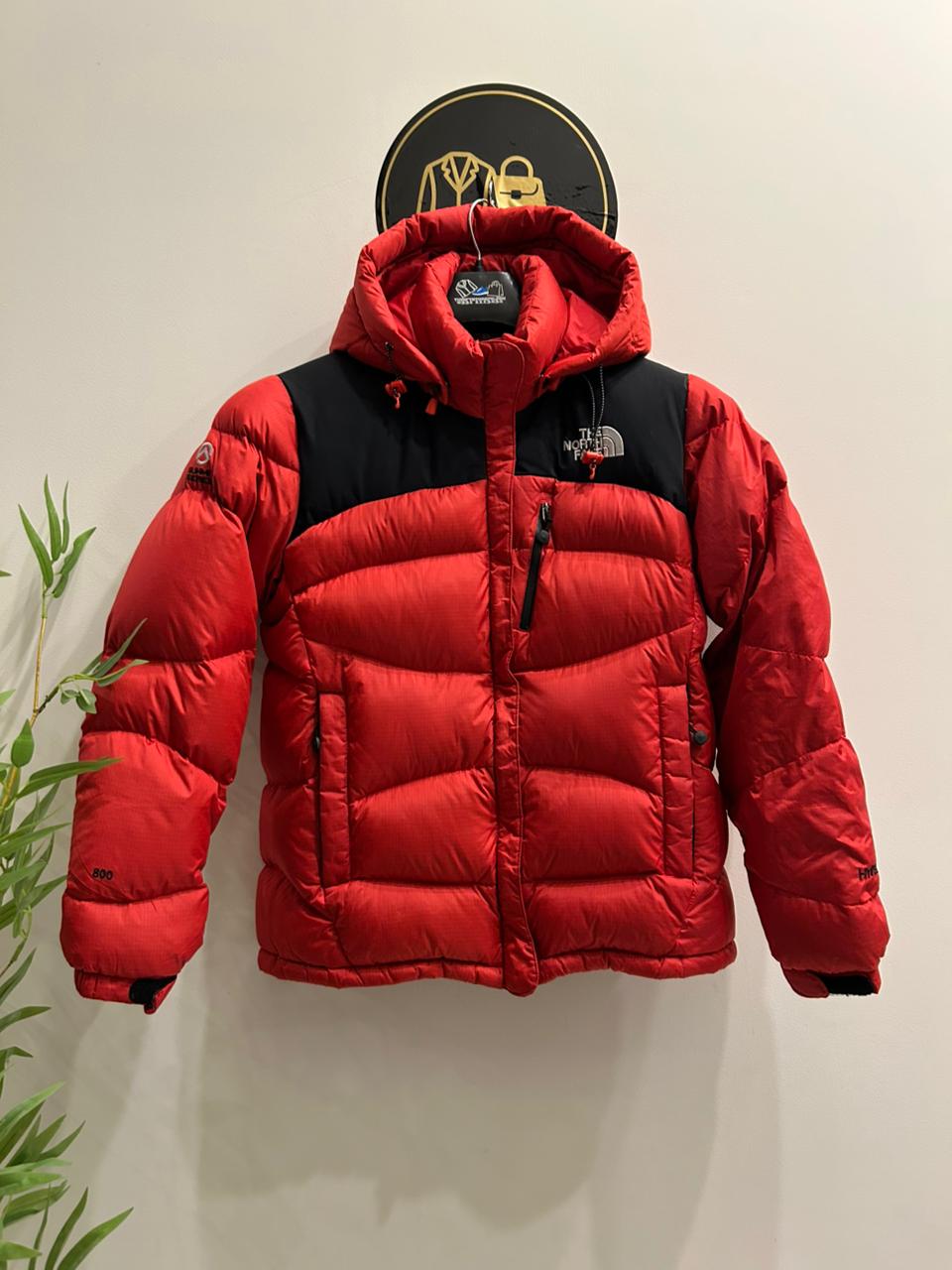 The North Face Summit Series 800 Hooded Puffer Jacket