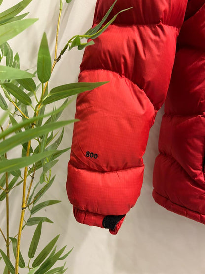 The North Face Summit Series 800 Hooded Puffer Jacket