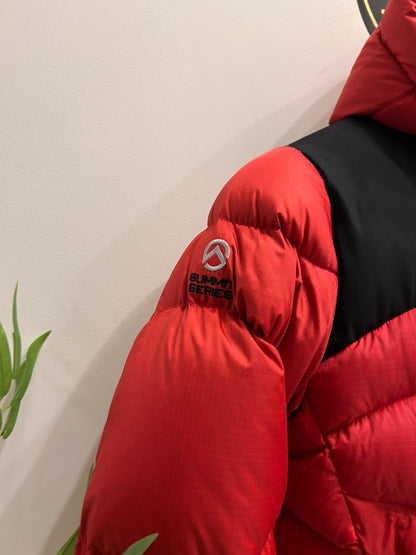 The North Face Summit Series 800 Hooded Puffer Jacket
