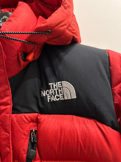 The North Face Summit Series 800 Hooded Puffer Jacket