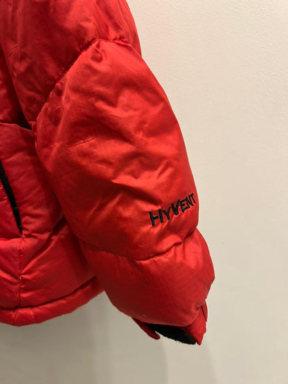 The North Face Summit Series 800 Hooded Puffer Jacket