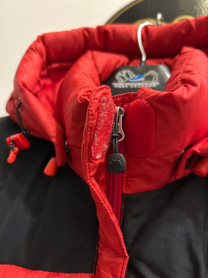 The North Face Summit Series 800 Hooded Puffer Jacket