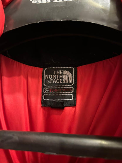 The North Face Summit Series 800 Hooded Puffer Jacket