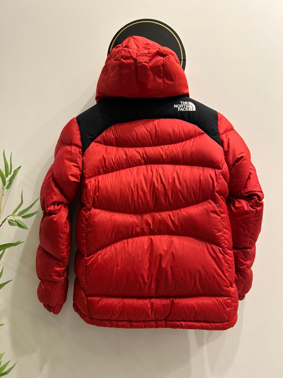 The North Face Summit Series 800 Hooded Puffer Jacket