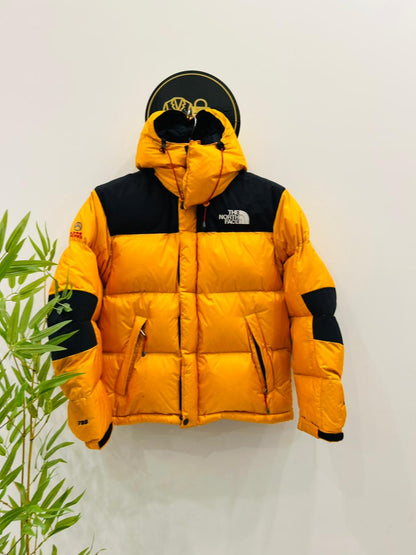 The North Face Summit Series 700 Windstopper (NF21)