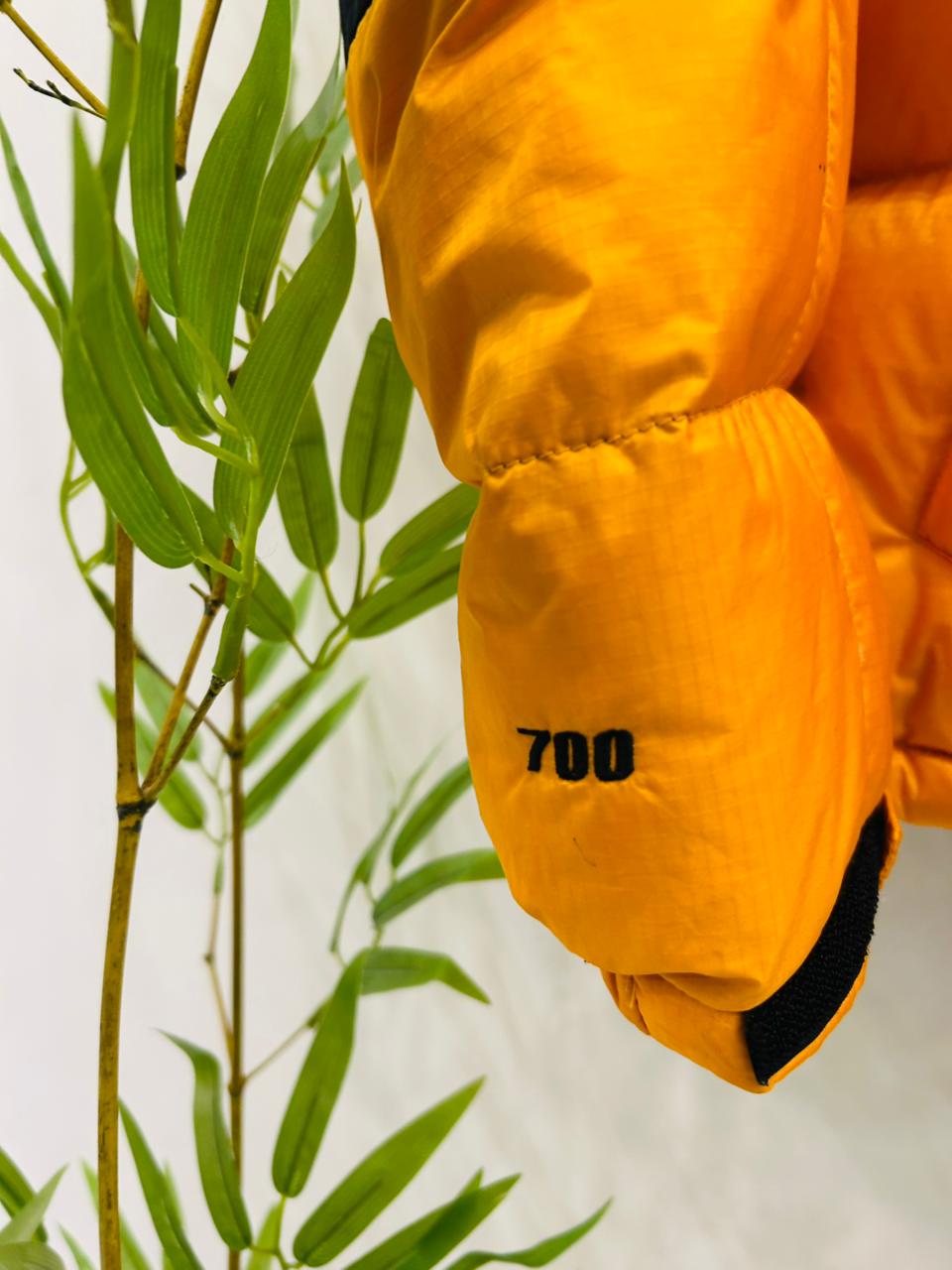 The North Face Summit Series 700 Windstopper (NF21)