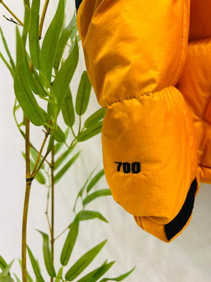 The North Face Summit Series 700 Windstopper (NF21)