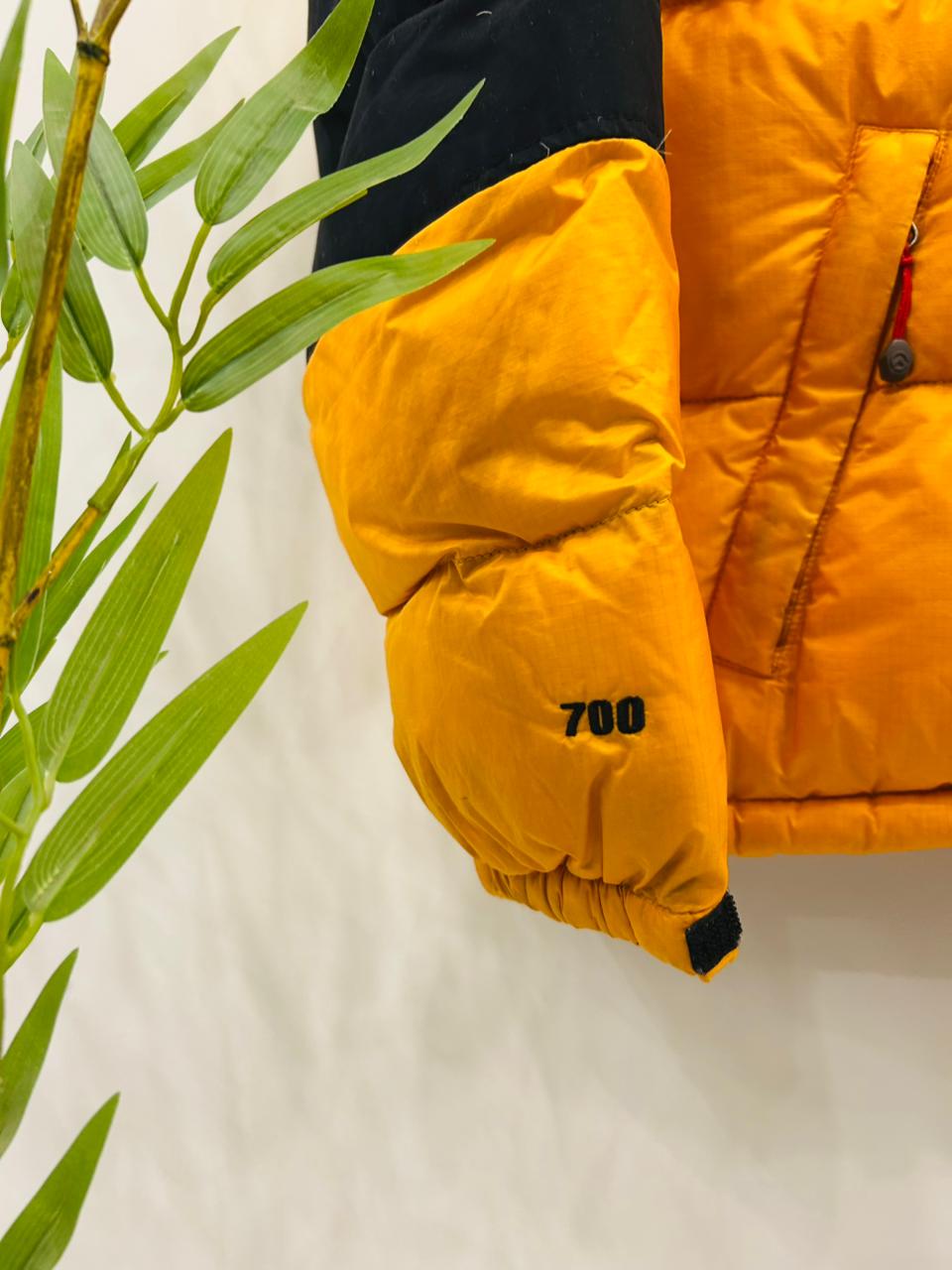 The North Face Windstopper Ultra Lightweight Packable Hooded Puffer Jacket (NF16)