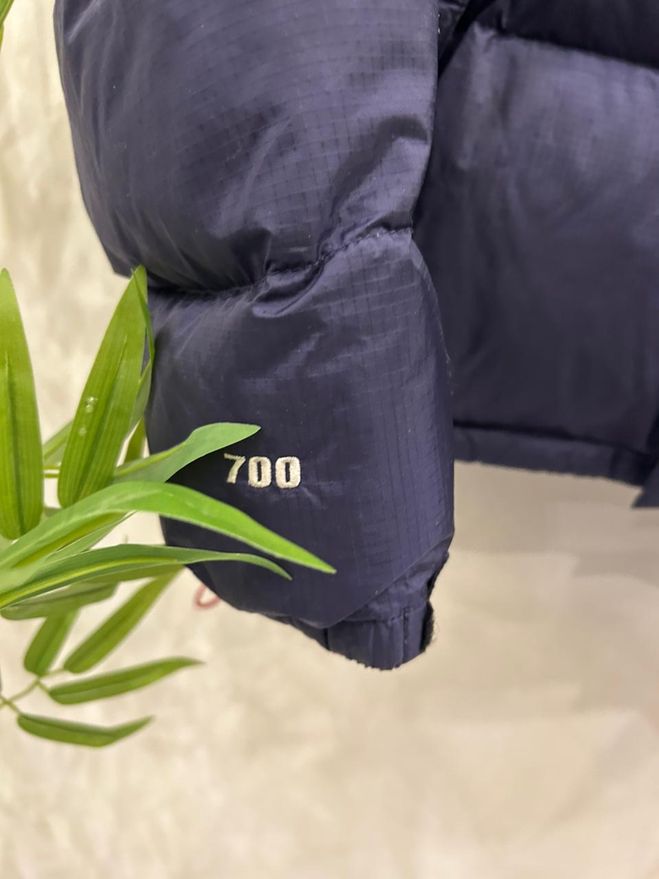 The North Face Windstopper Ultra Lightweight Packable Puffer Jacket (NF14)