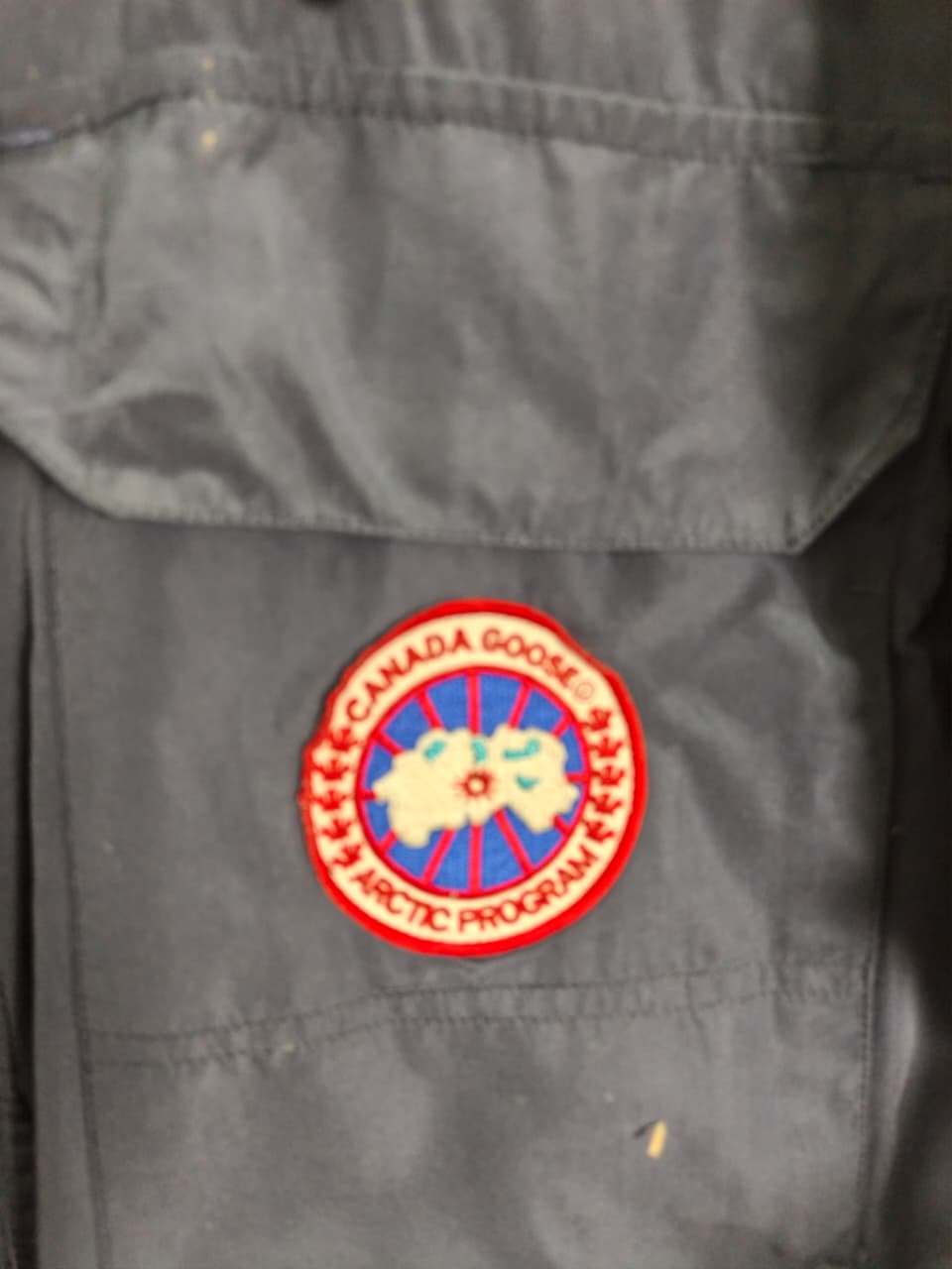 Canada Goose Expedition-style parka (navy)