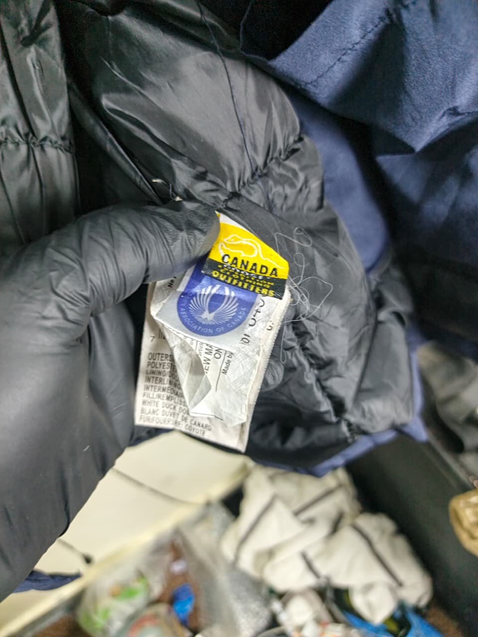 Canada Goose Expedition-style parka (navy)