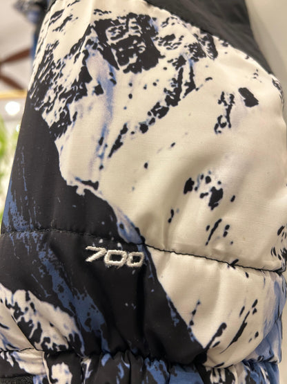Supreme x The North Face Mountain Baltoro jacket